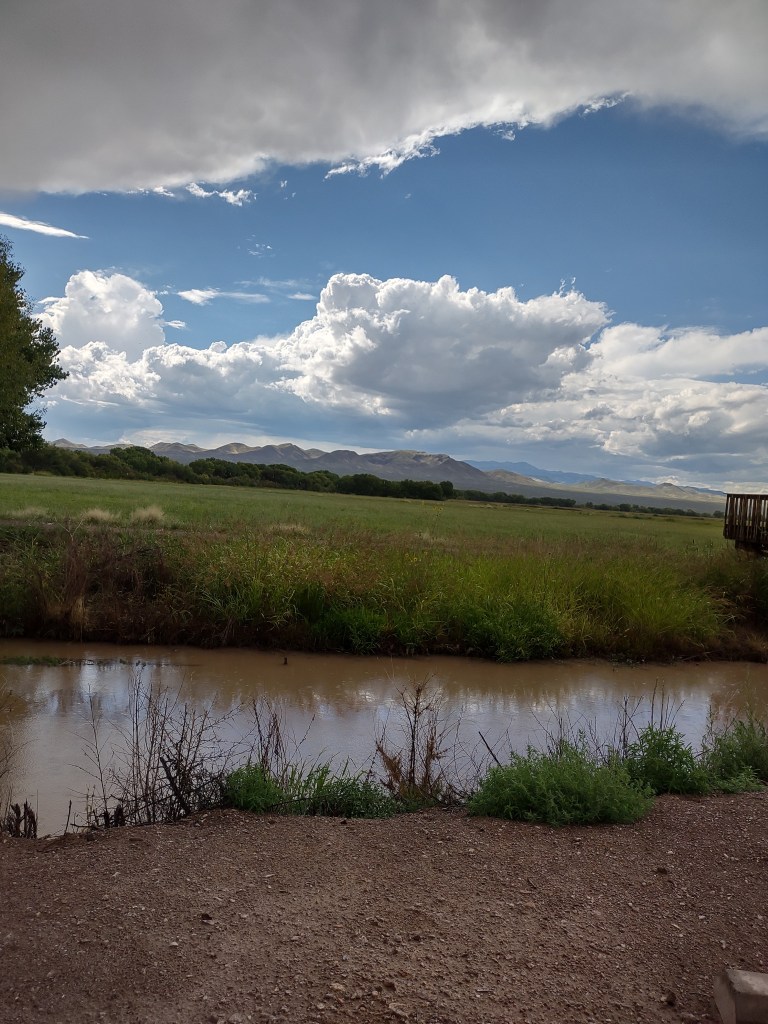 Bosque del Apache National Wildlife Refuge, wetlands with mountains in the background