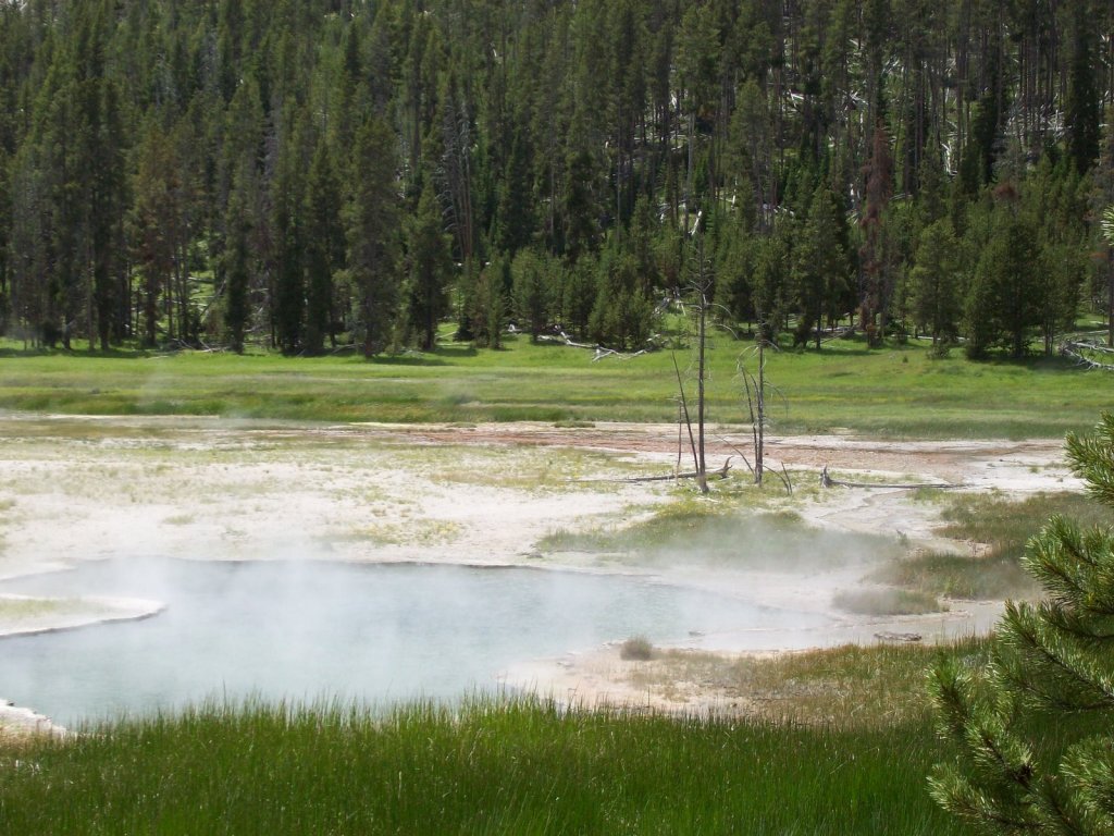 Spring at Yellowstone National Park.